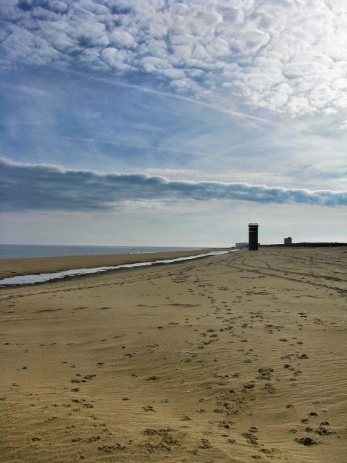 The towers of Cape Henlopen in the distance