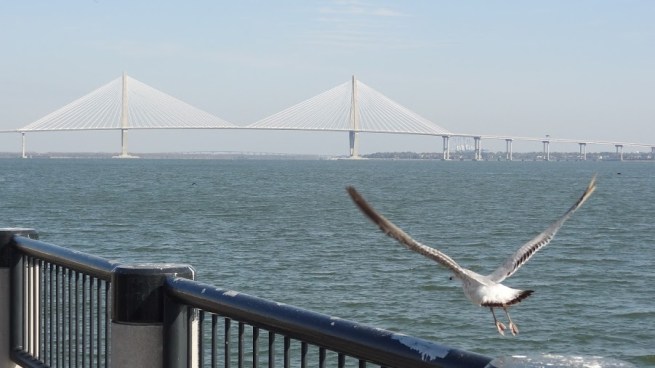 Charleston Harbor