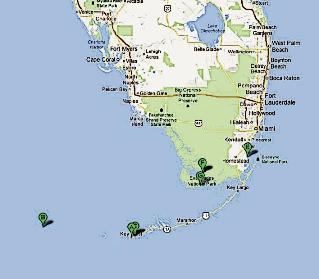 Insane Florida Day Trip