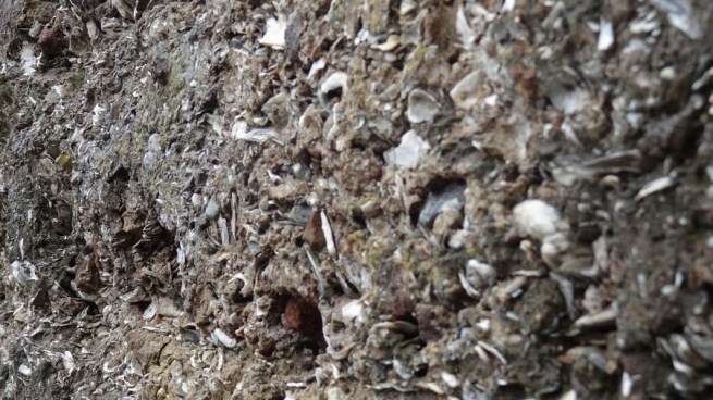 Brick by brick and...seashell by seashell...