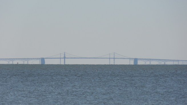The Bay Bridge looms in the distance from the Rock Hall beach