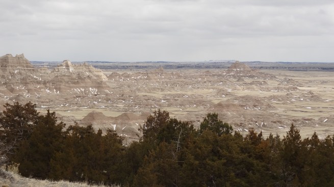 The Badlands literally appear out of nowhere along the relatively flat plains of South Dakota