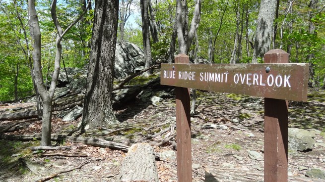 This is really the easiest trail in the park, a short walk to a nice view...