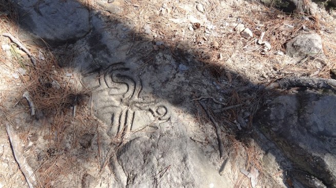 Some interesting designs and pictures carved into the rock. I imagine these were probably done not long ago, as there were names, vulgarities and phone numbers carved into another nearby rock.
