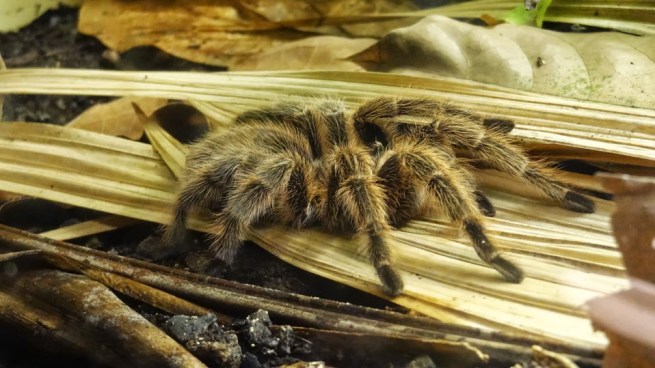 I just had to throw this up on here - I know my girlfriend won't approve!