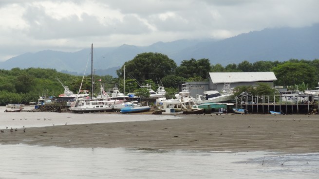 Boats docked at low tide