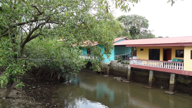 These were a couple of the nicer houses in Quepos and I actually think this "ditch-side" view is somewhat quaint. Only in Costa Rica can you romanticize a ditch, I guess...