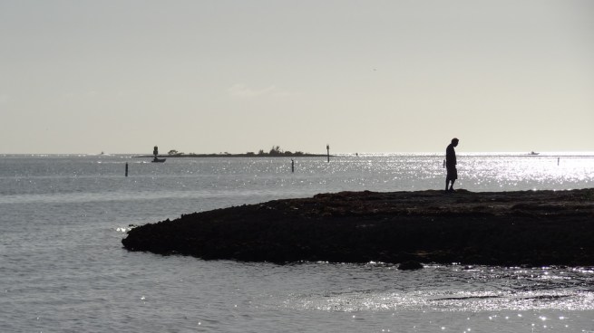 A beachgoer wanders over the dead coral of Key Colony beach