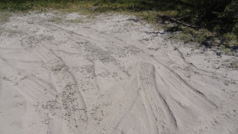 As you can see, the roads are ash-ridden in the Daytime Entry Zone