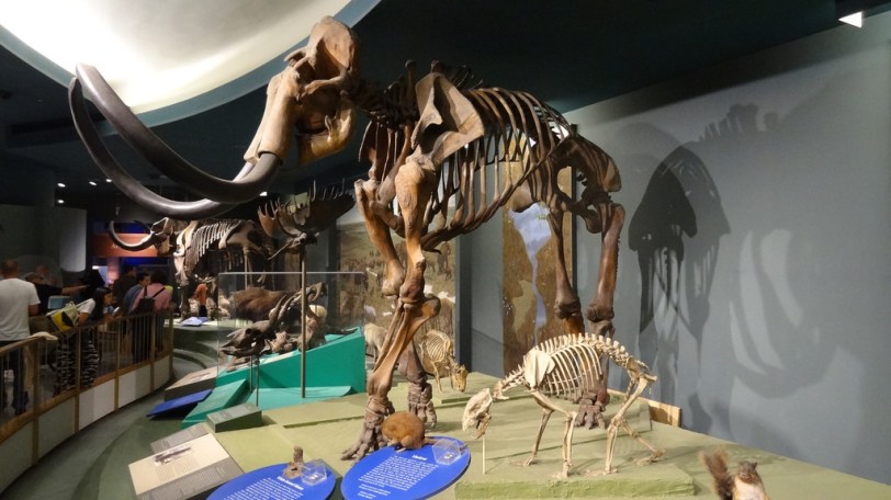 Still waiting for someone to successfully clone one of these...