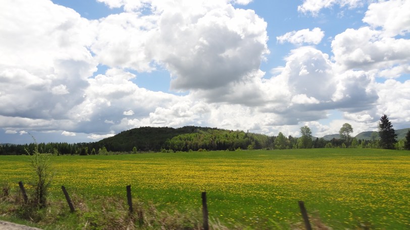The Quebec countryside is a mix of rolling hills and small, but still gorgeous, mountains. 