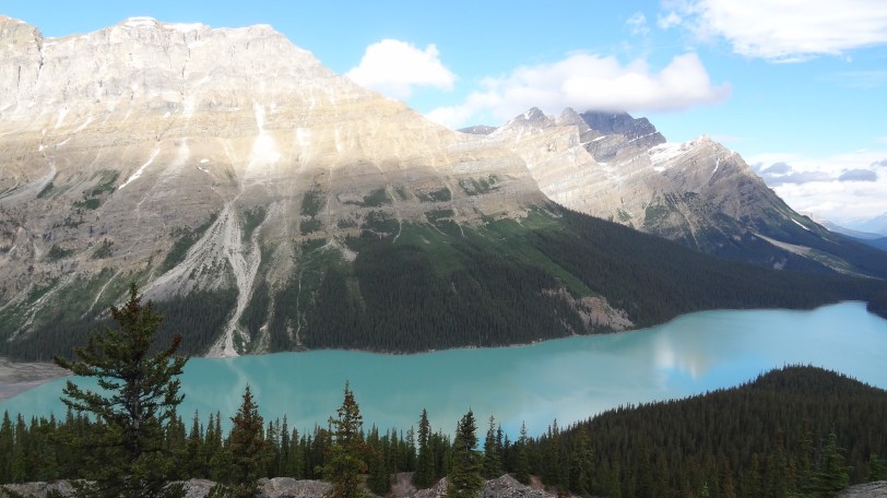The impressive view from Peyto Lake, in Banff National Park