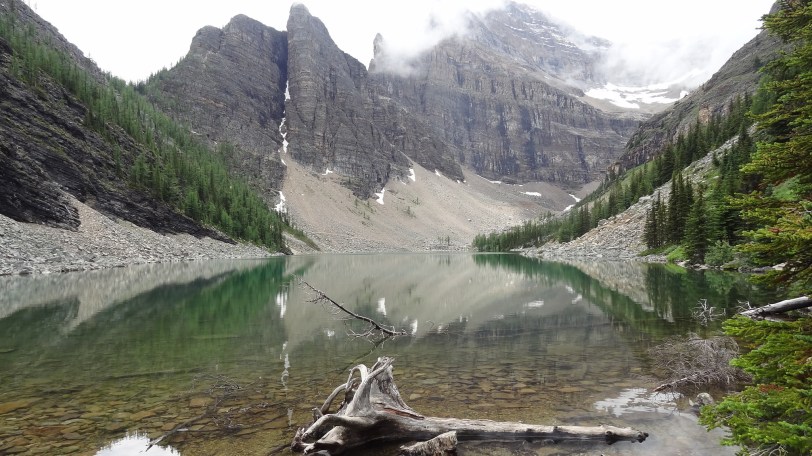 The view from the tea house which sits atop the trail from Lake Louise