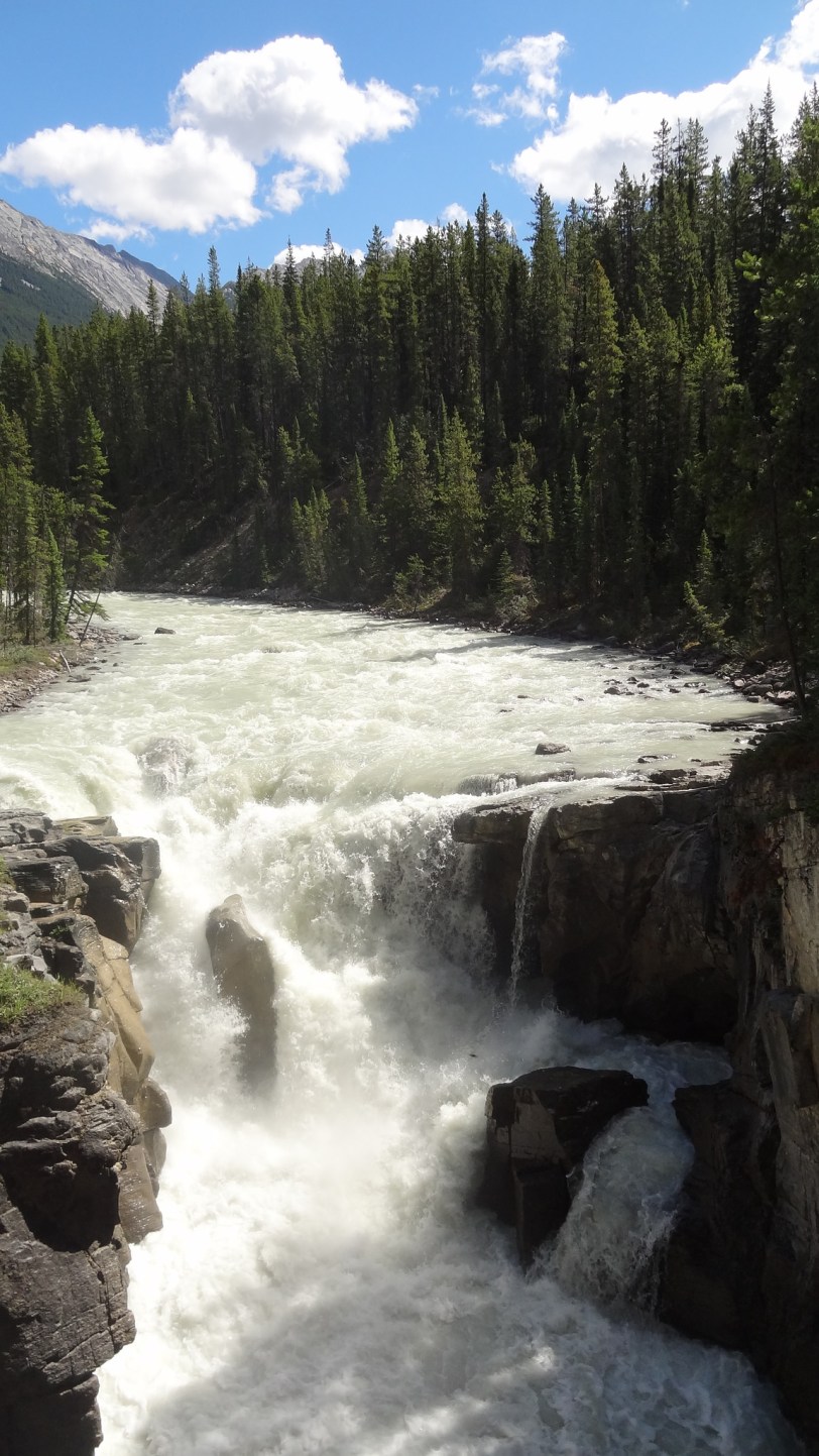 I've never seen so many waterfalls in one place! This one is Sunwapta, at Jasper. 