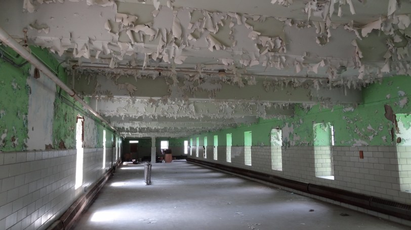 Paint is peeling in many rooms, but it is quite apparent here. It's oddly beautiful in a way...