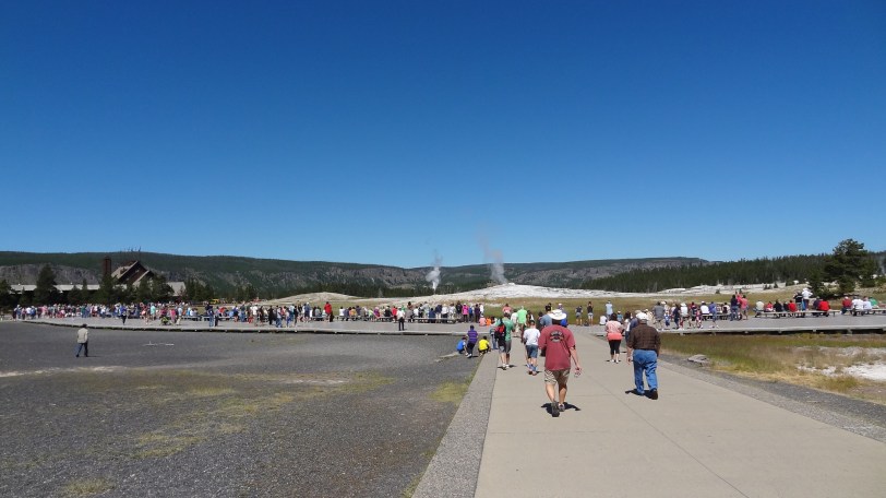 A gathering crowd about 45 minutes before an Old Faithful eruption.