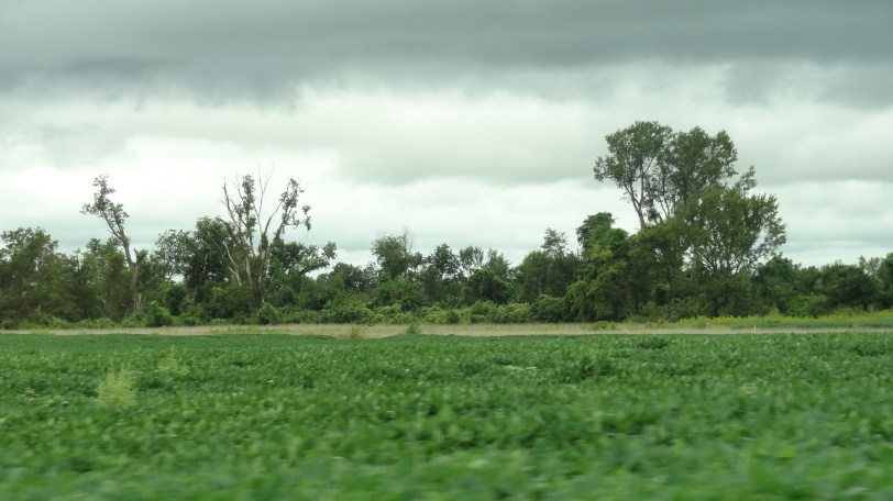 Drive by scenery...oddly beautiful