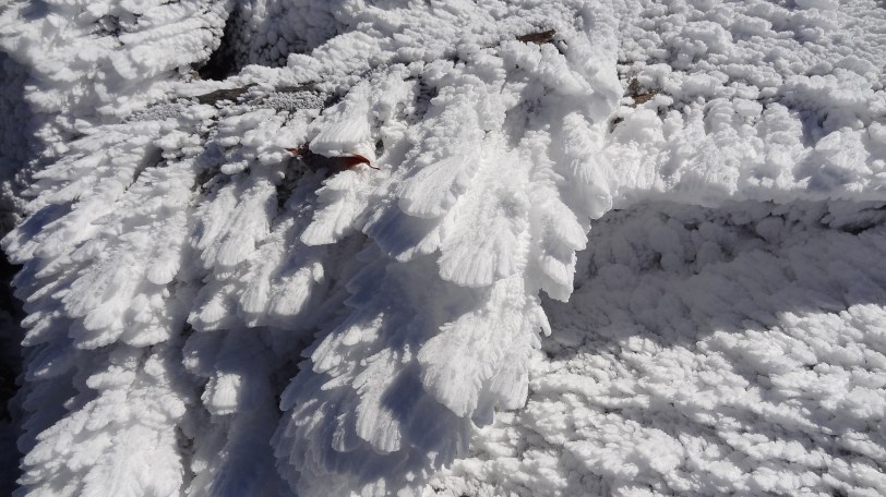 Rime ice collecting onto a ledge