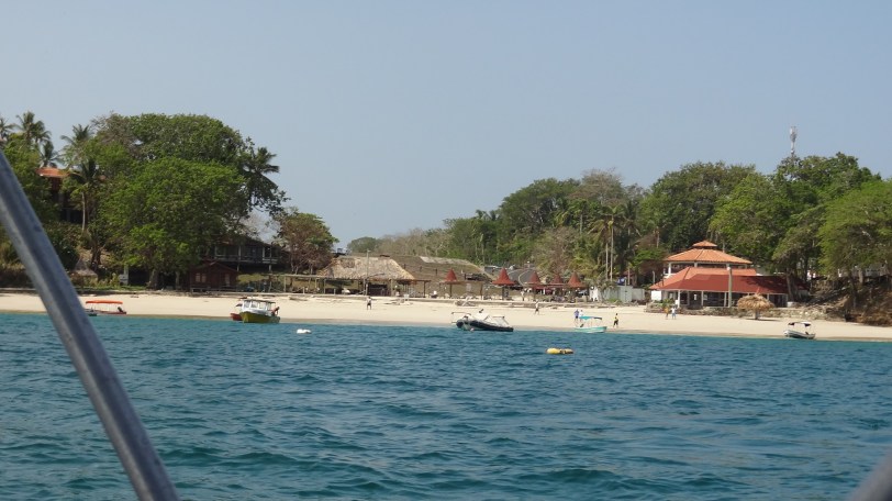 Our welcoming committee awaits our arrival on Playa Galeon. Contadora doesn't have docks, so you are transferred from the ferry onto a smaller boat that takes you to the beach. 