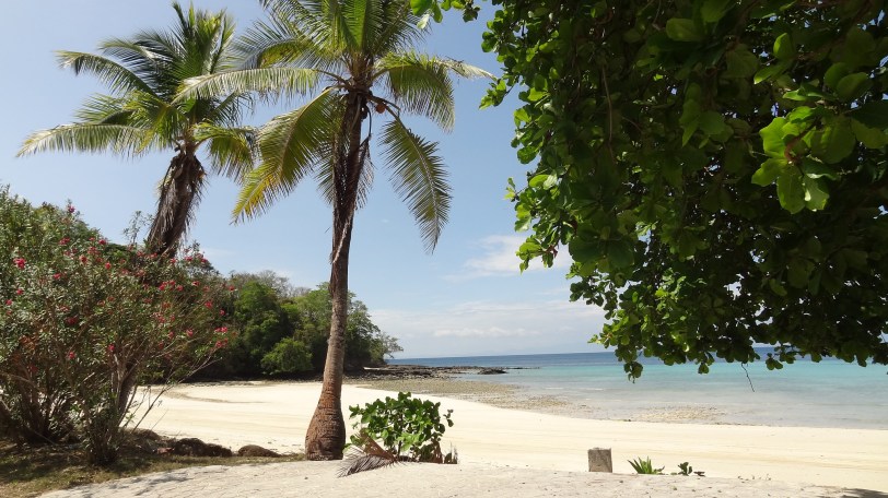 18168068275_1fe2d07242_k