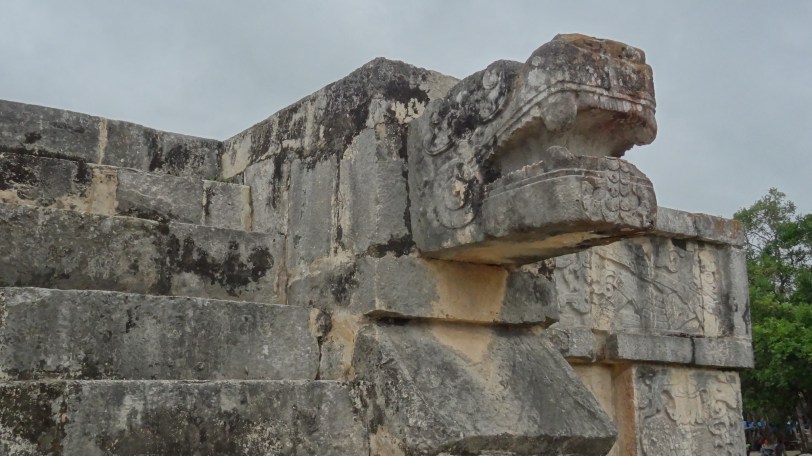 Don't worry, he doesn't bite...