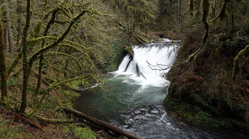 Lower North Falls, the first of four falls within 1/2 mile of each other. 