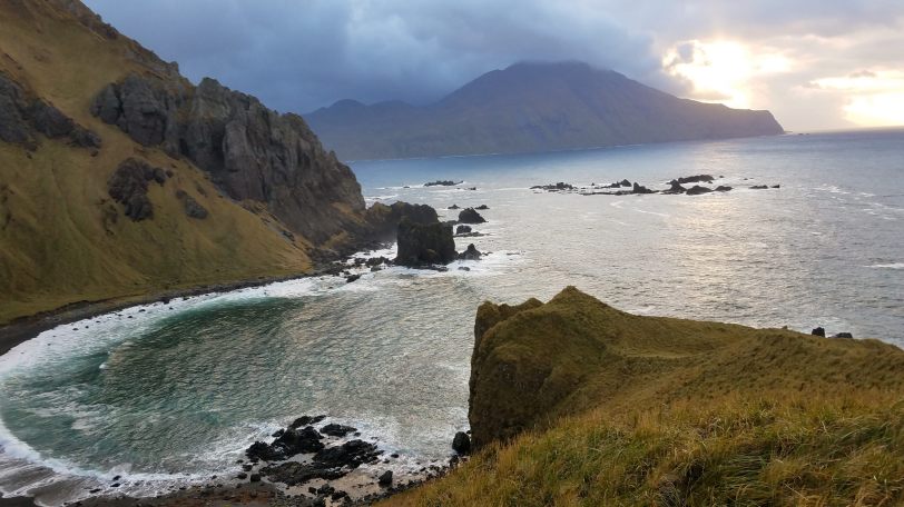 30241294805_32eea124c1_k