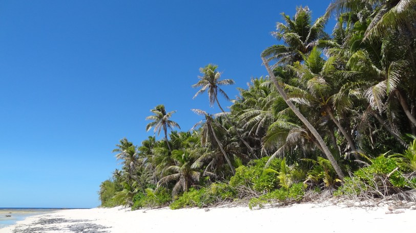 Ritidian Point, Guam - near the spot where I popped the big question